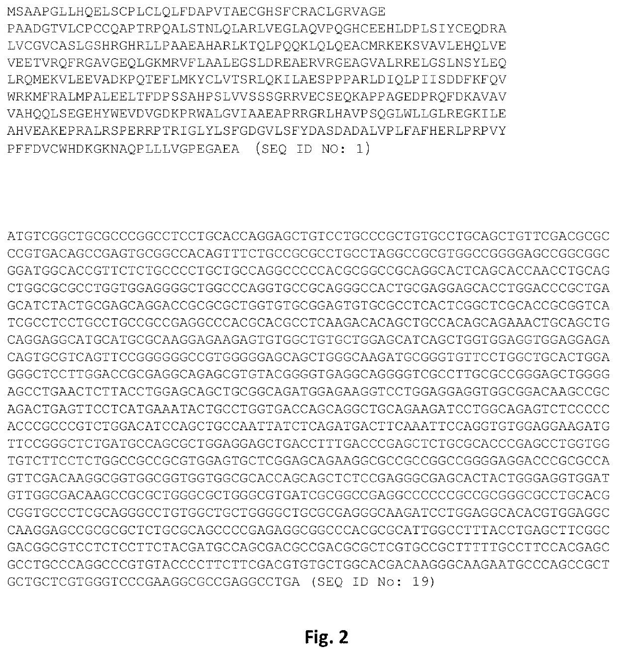 MG53 mutants, methods of making the same, and uses thereof