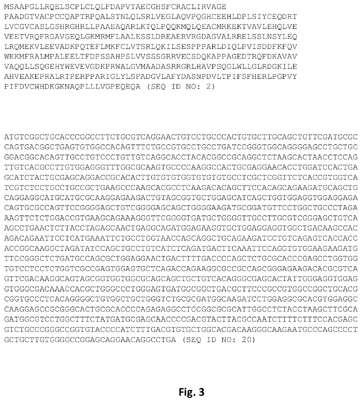 MG53 mutants, methods of making the same, and uses thereof