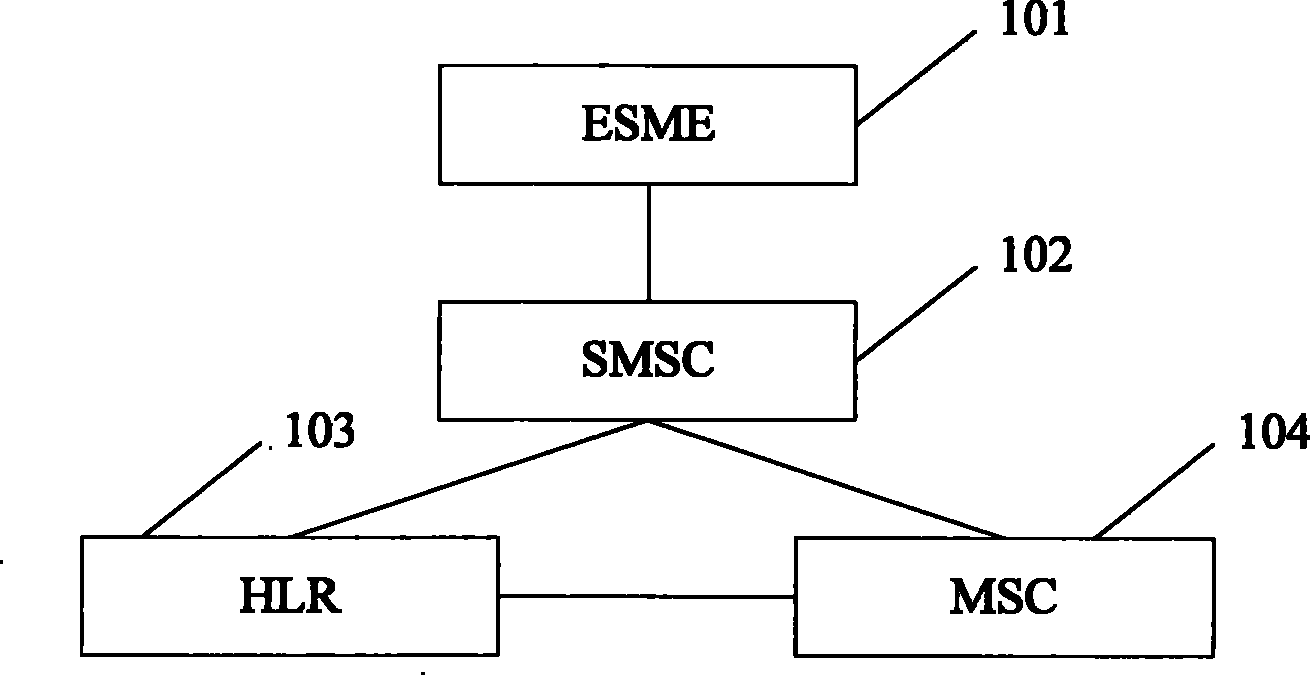 VPN processing module of SMS and its processing method