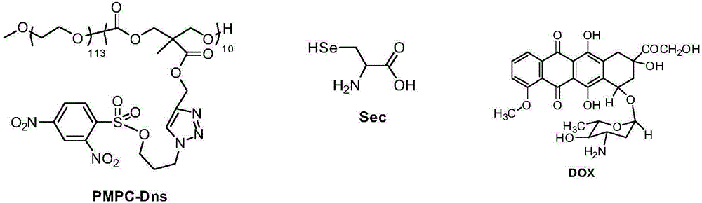 New method for detecting selenocysteine in living bodies