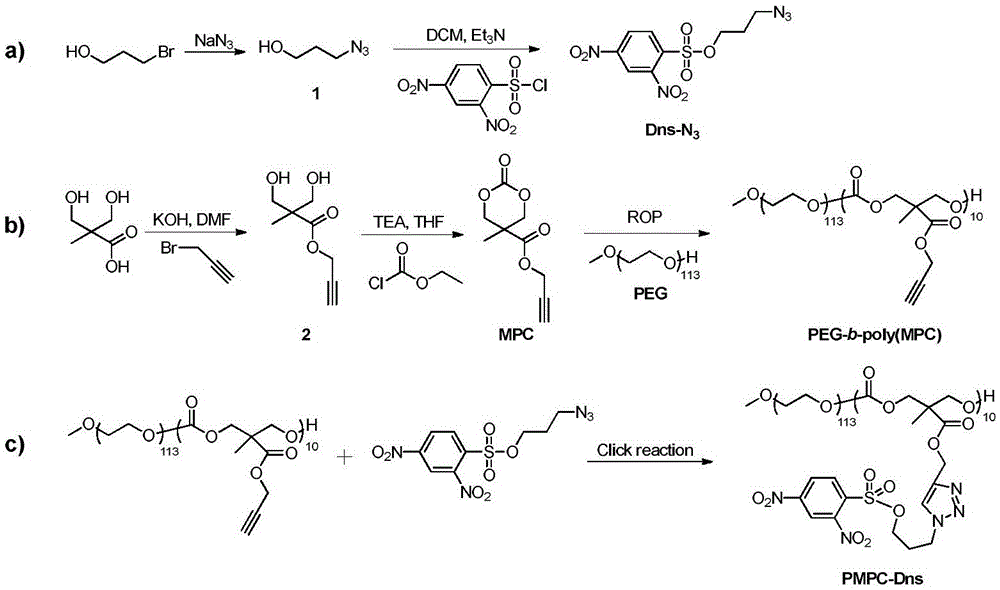 New method for detecting selenocysteine in living bodies