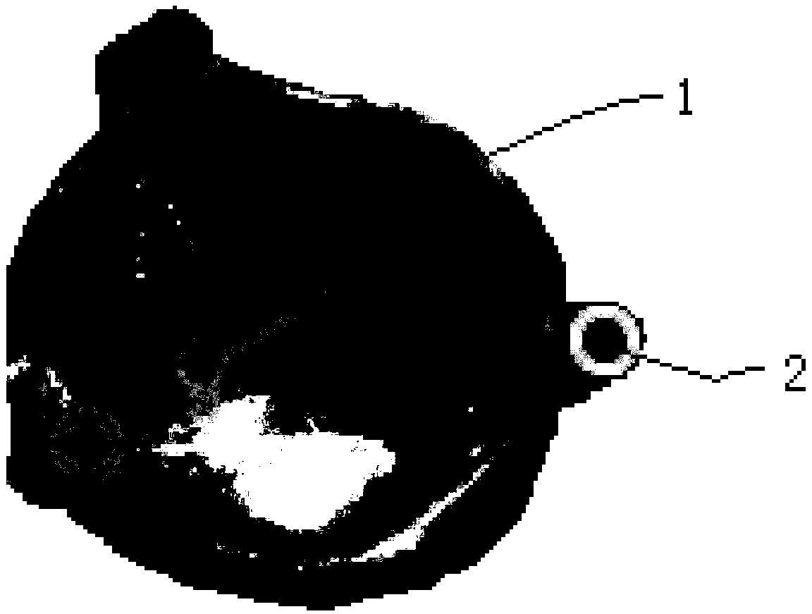 Filing guide plate for total hip replacement surgery and manufacture and use methods of filing guide plate