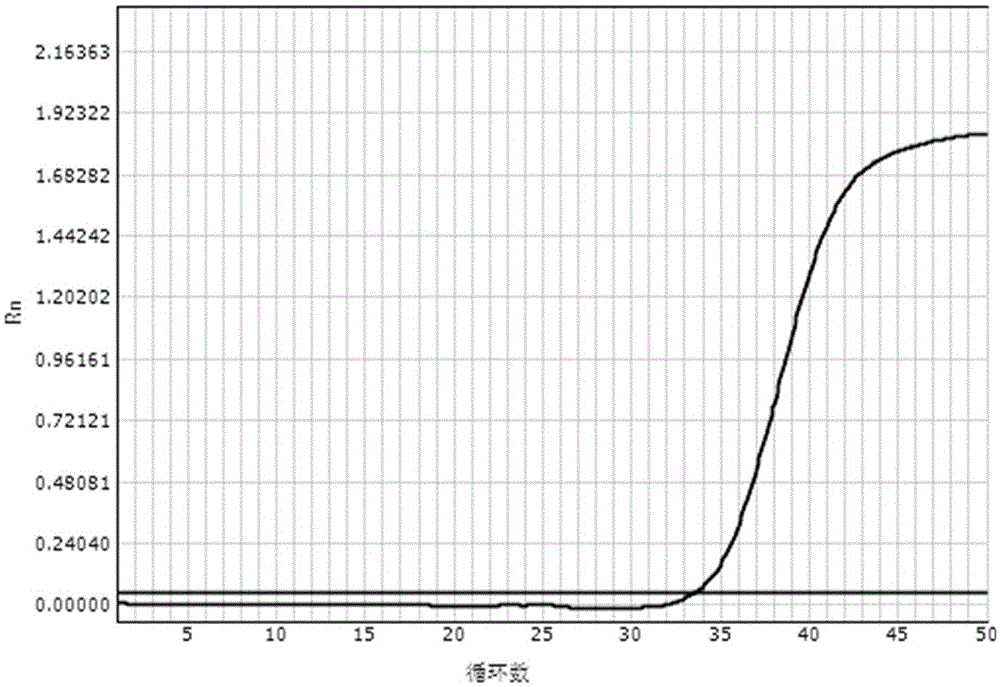 Real-time fluorescence quantification PCR method with magnetic bead nucleic acid extraction and amplification conducted in one tube