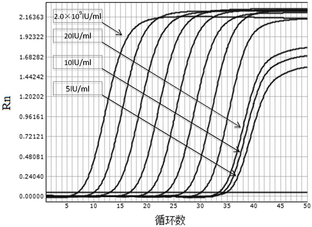 Real-time fluorescence quantification PCR method with magnetic bead nucleic acid extraction and amplification conducted in one tube