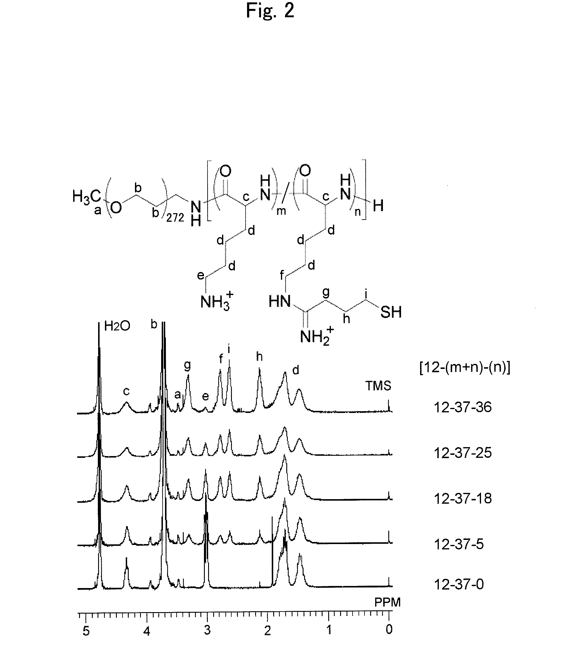 ENVIRONMENT-RESPONDING siRNA CARRIER USING DISULFIDE-CROSS-LINKED POLYMERIC MICELLE