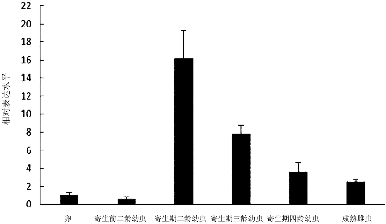 HaGLAND5 protein of cereal cyst nematode, encoding gene of protein and application