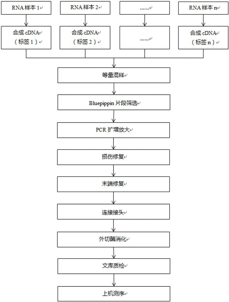 Method for building multi-sample full-length transcriptome mixed library