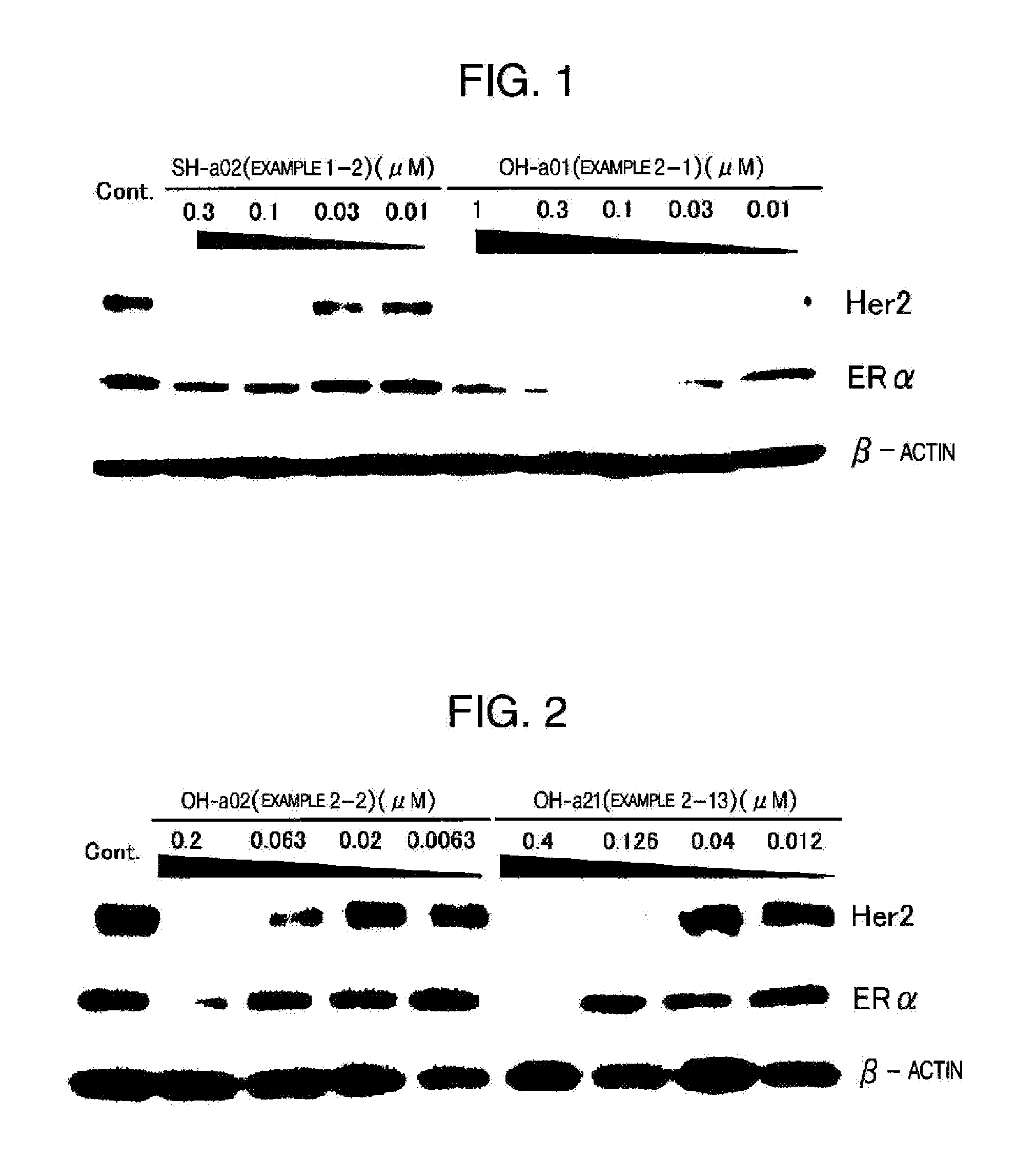 Novel HSP90 Inhibitor