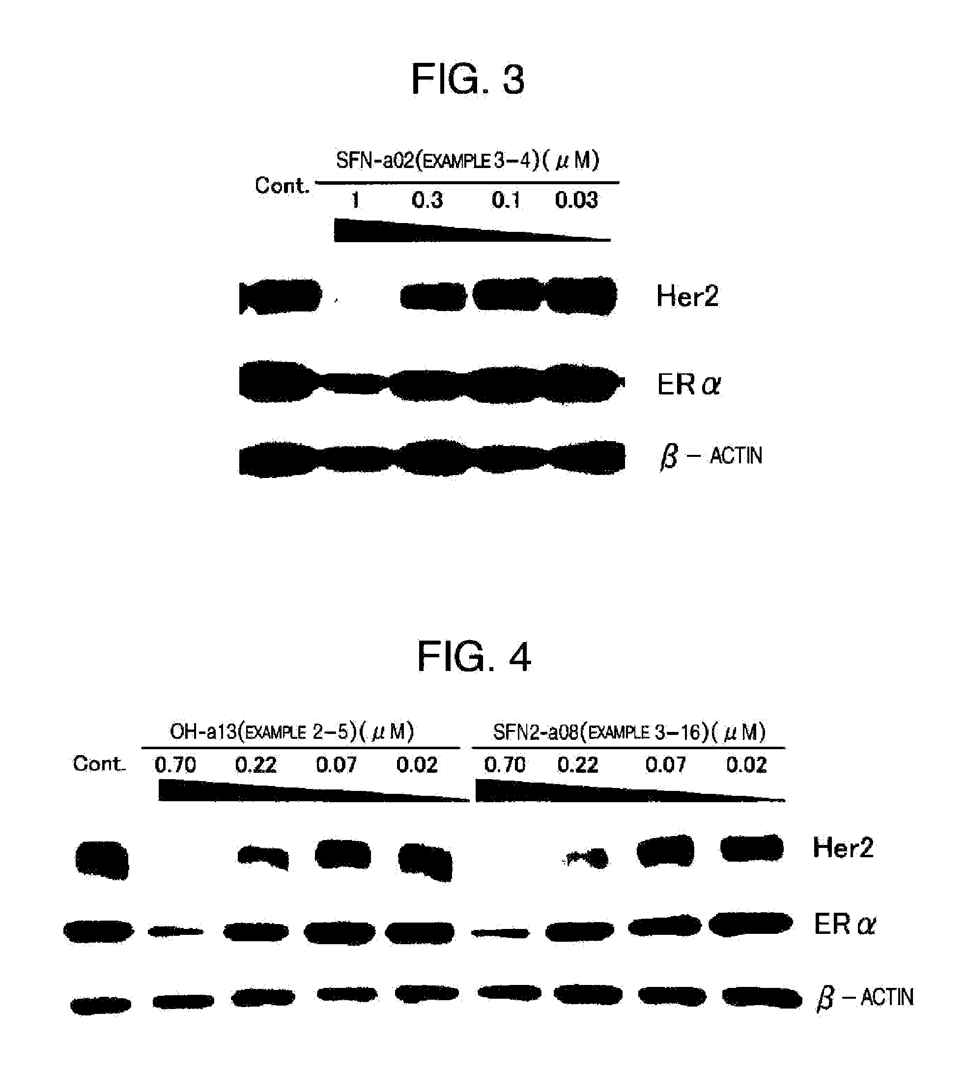 Novel HSP90 Inhibitor