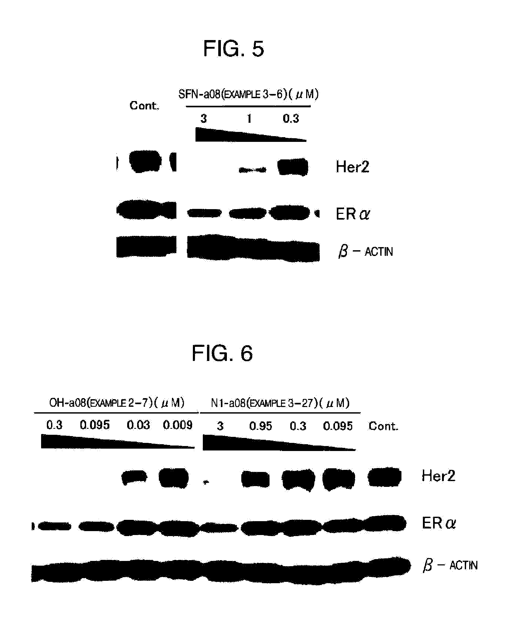 Novel HSP90 Inhibitor