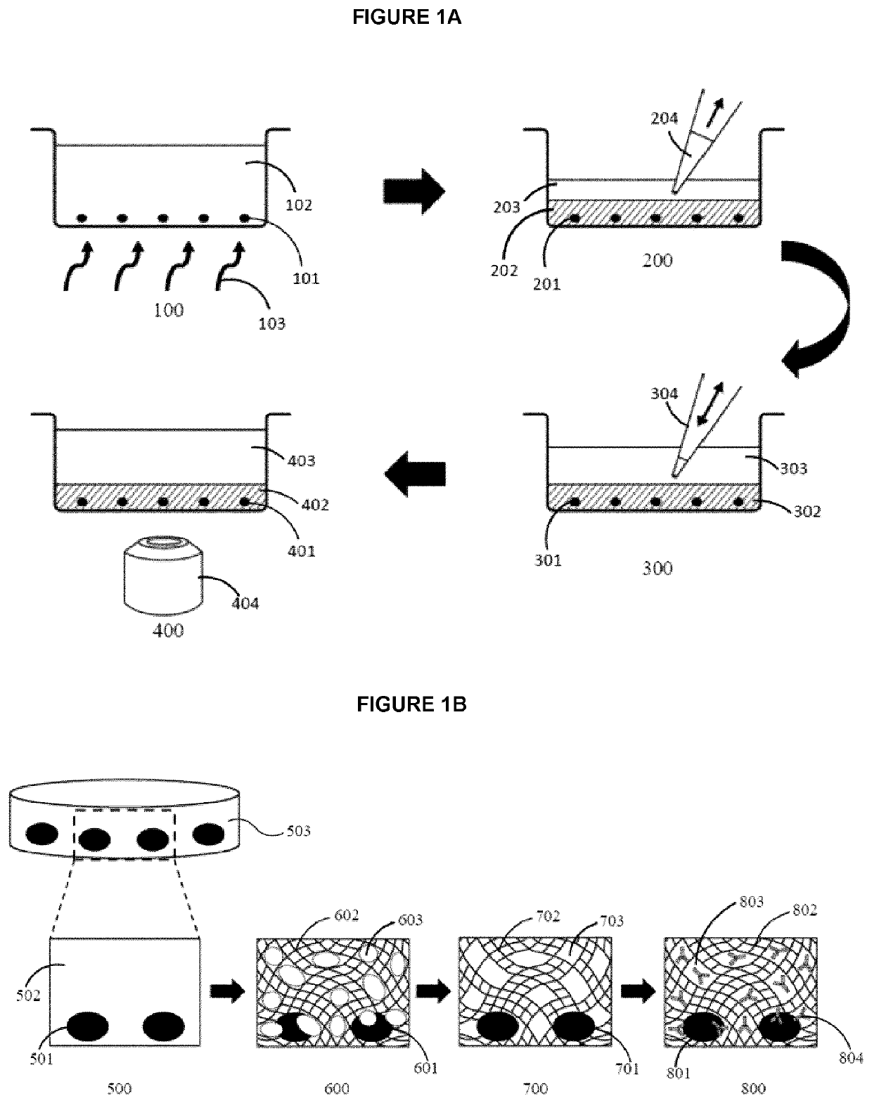 Cell encapsulation compositions and methods for immunocytochemistry