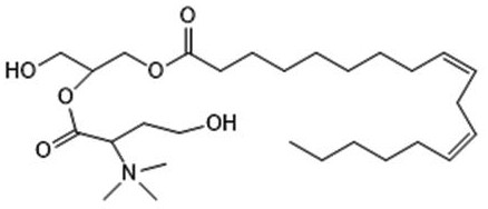 Fumosochromone A with anti-aging activity and preparation method thereof