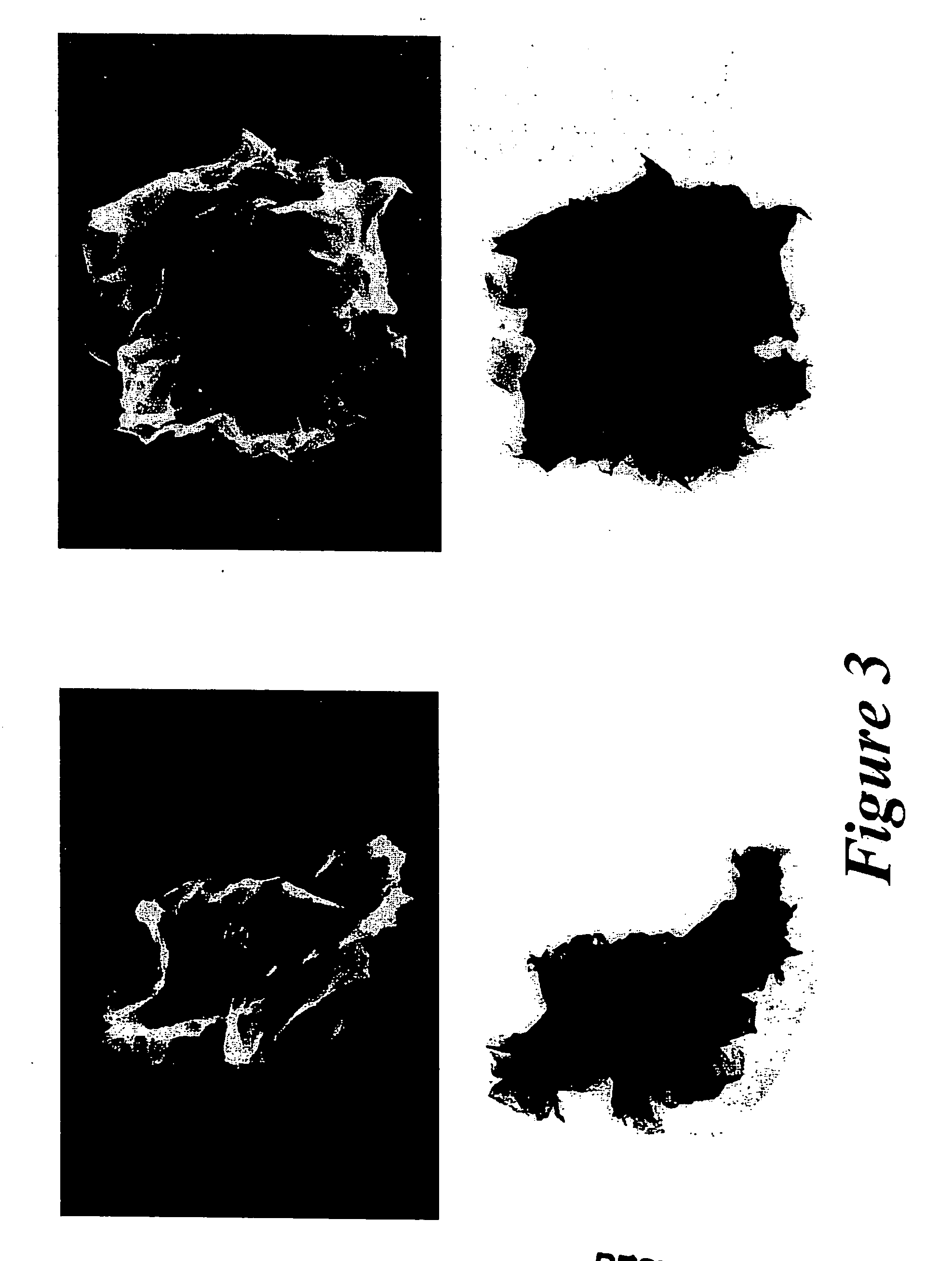 Novel hydrotalcites, syntheses, and uses