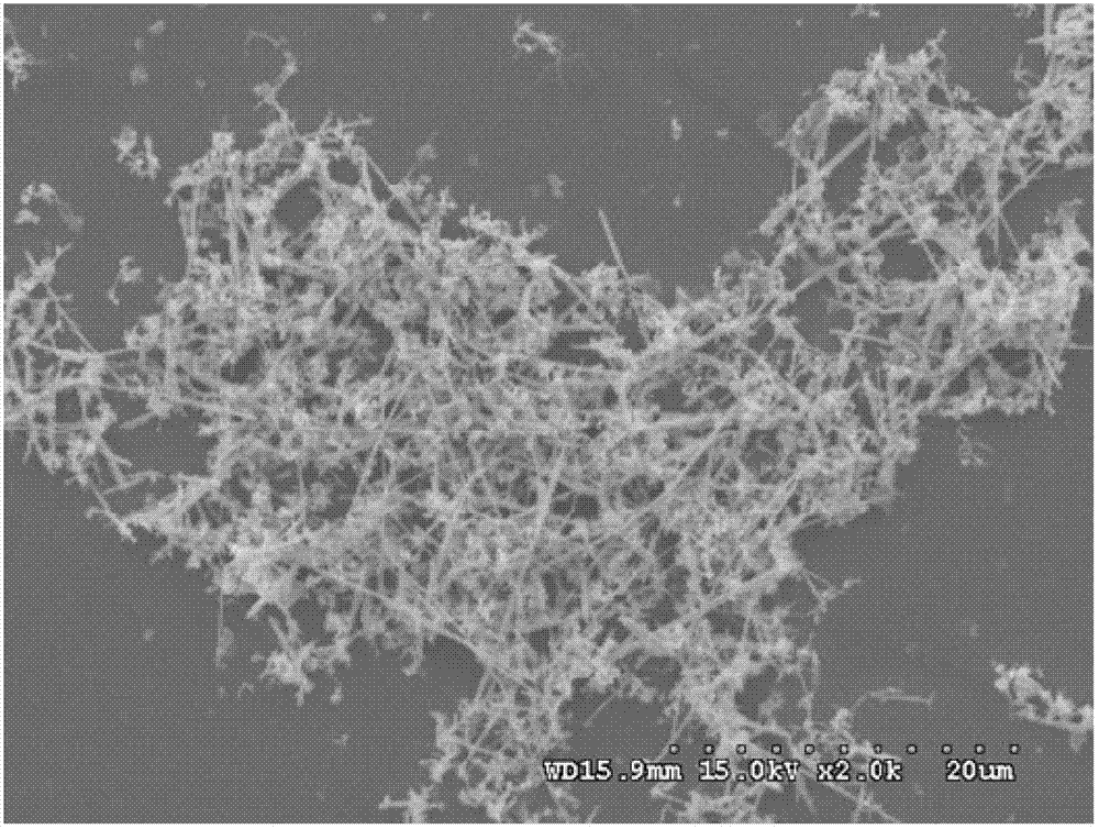 Wet-chemical preparation method for silver micro/nanowires