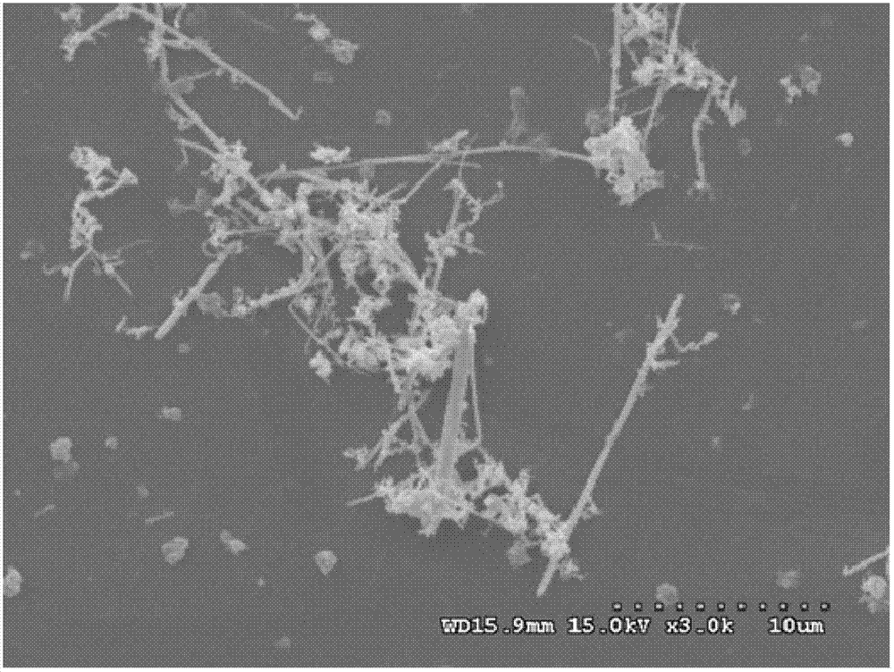 Wet-chemical preparation method for silver micro/nanowires