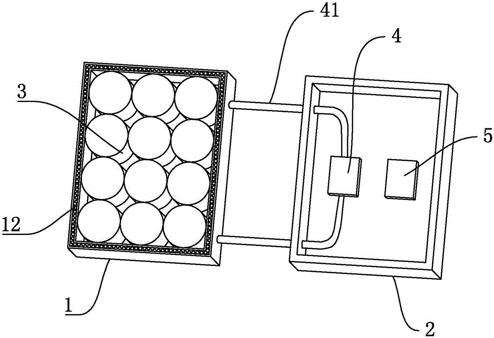 Yellow croaker transporting method