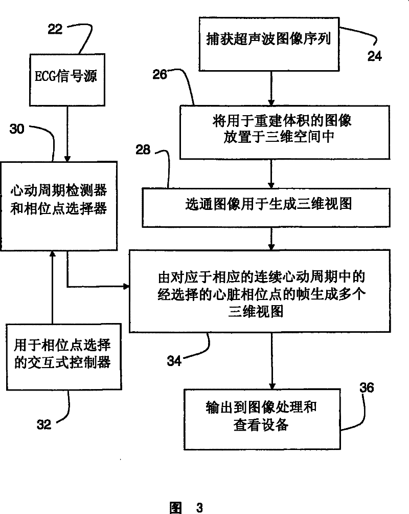 Interactive type four-dimensional dummy endoscopy method and apparatus