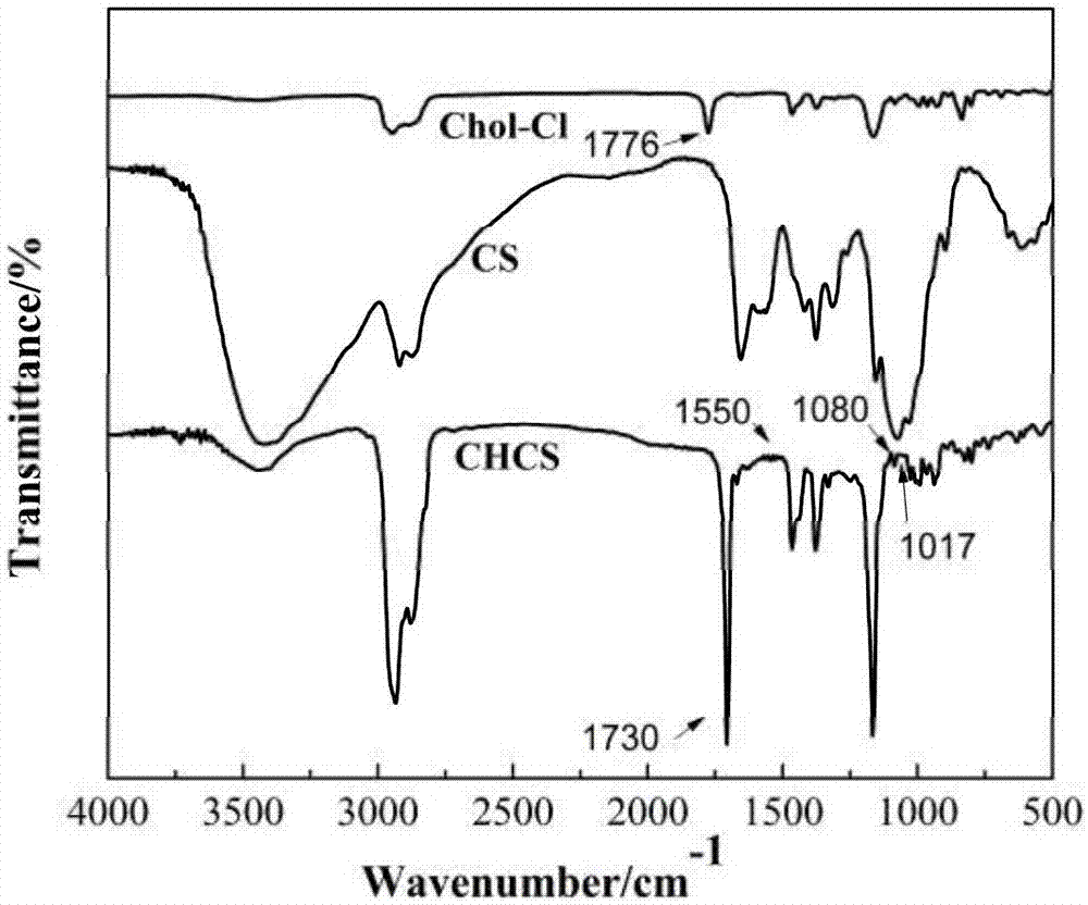 Preparation method and application of amphiphilic chitosan derivative protein adsorption-resistant coating