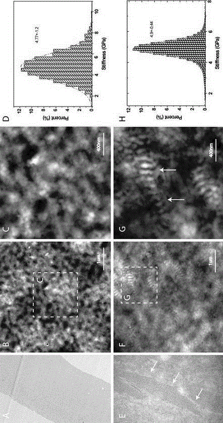 Method for analyzing pathogenesis of cornea related diseases