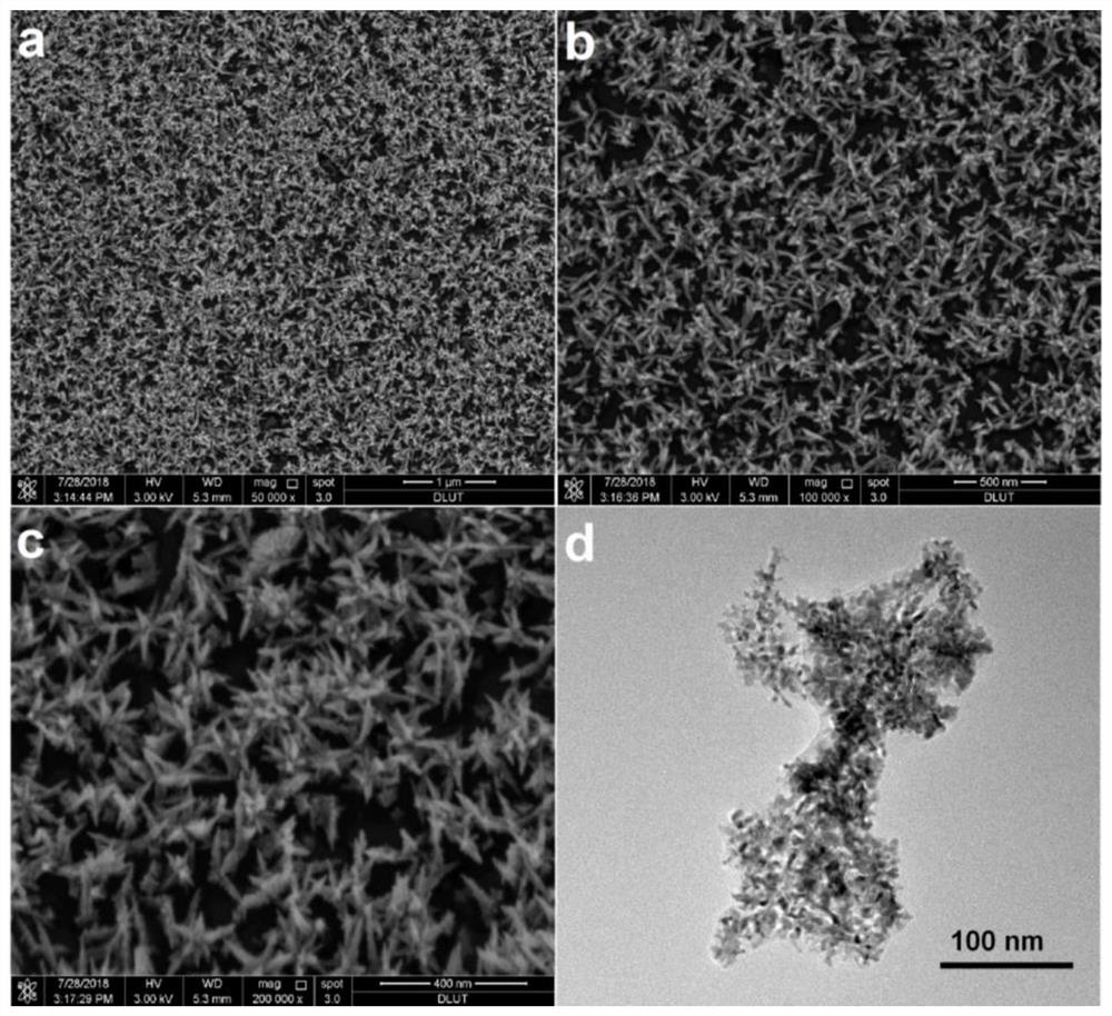 A kind of ordered ultra-thin film electrode, preparation method and application thereof