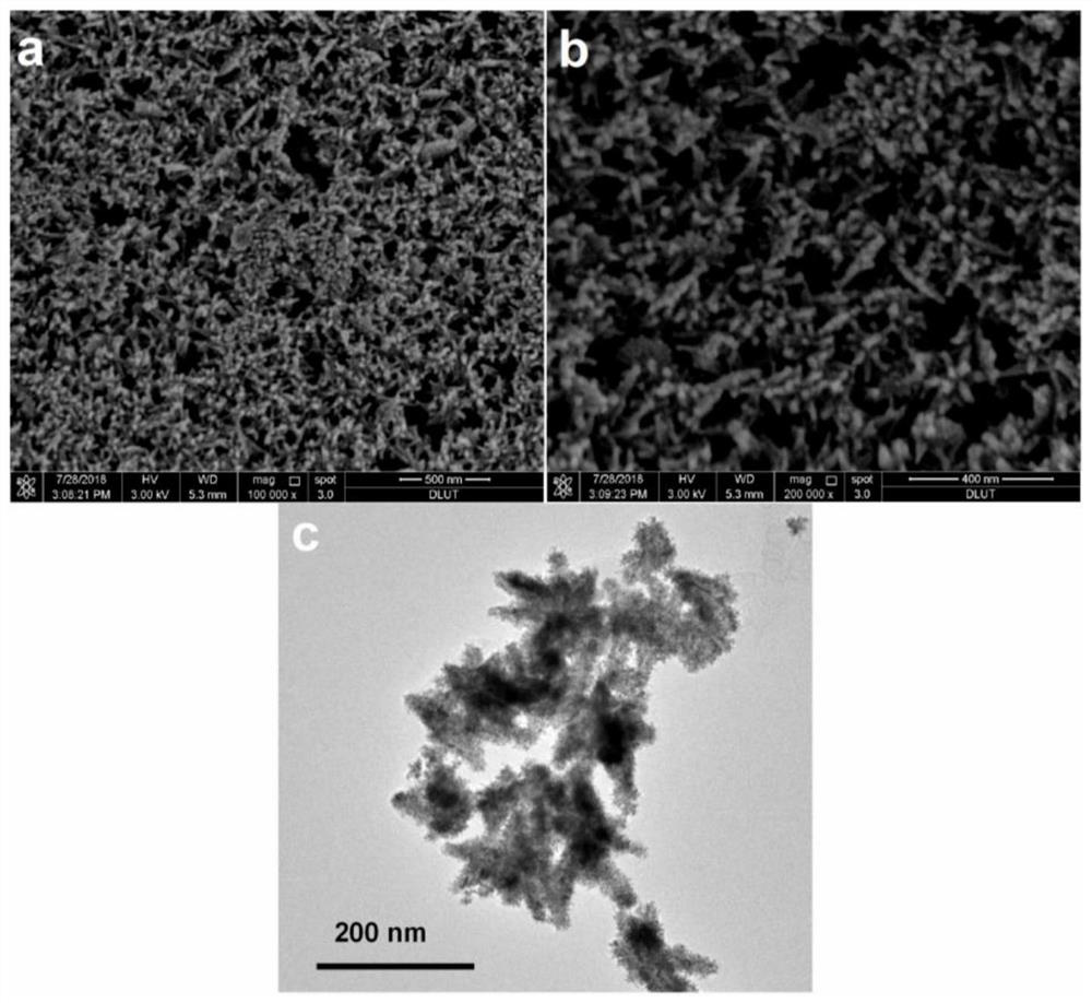 A kind of ordered ultra-thin film electrode, preparation method and application thereof