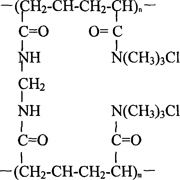 Cation polypropylene amides gel micro-ball and preparation method thereof