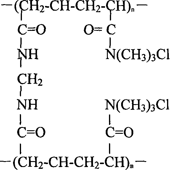 Cation polypropylene amides gel micro-ball and preparation method thereof