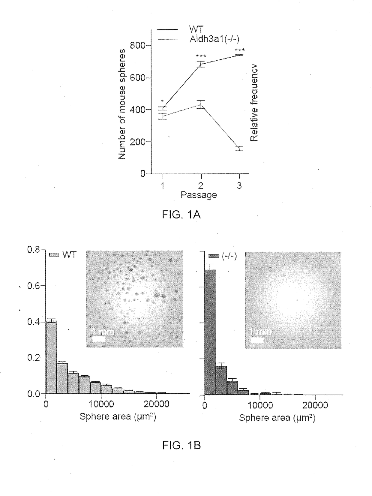 Monoterpene activators of aldehyde dehydrogenase 3a1 and methods of use thereof