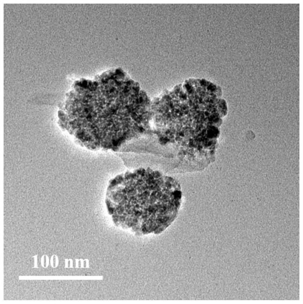 Preparation method and application of cobalt-doped metal organic framework nanoparticles