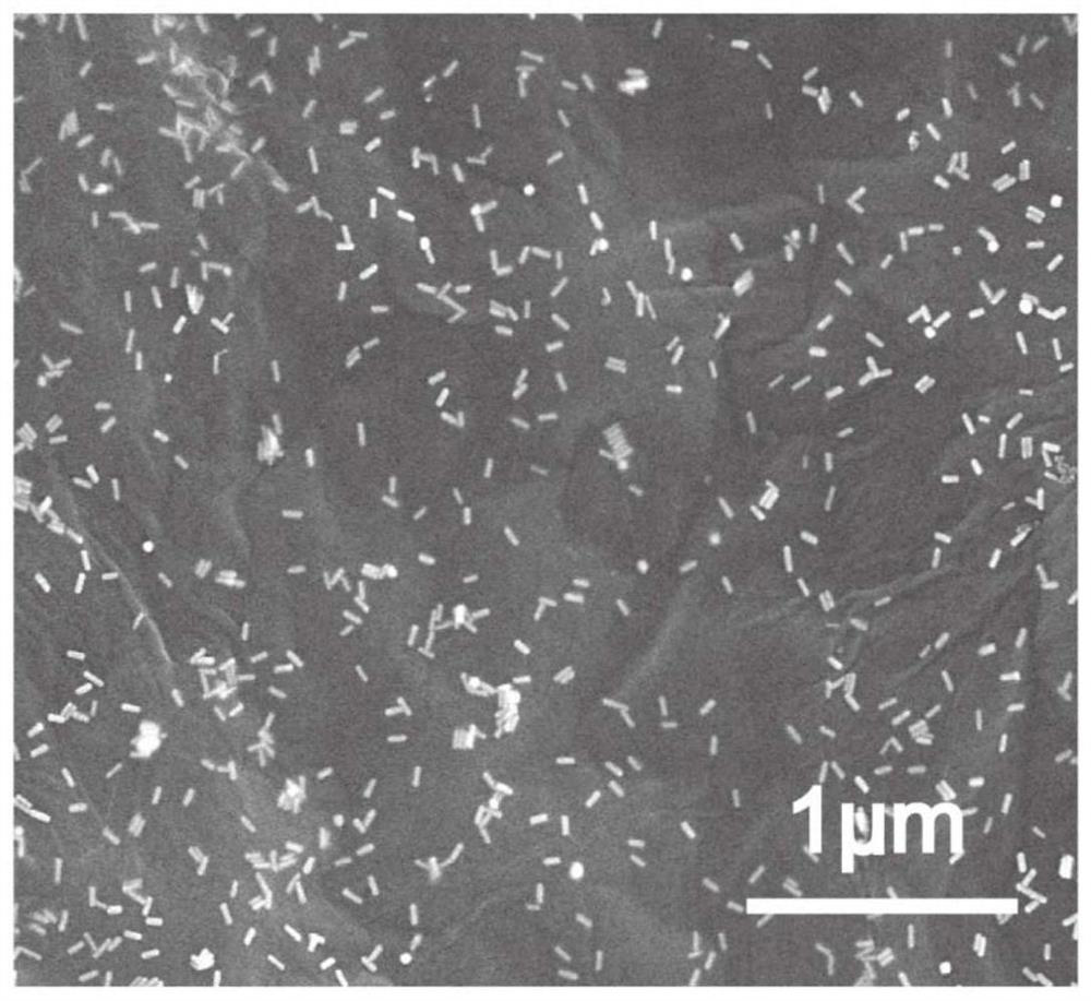 A kind of on-the-spot rapid detection method of sulfur dioxide in wine