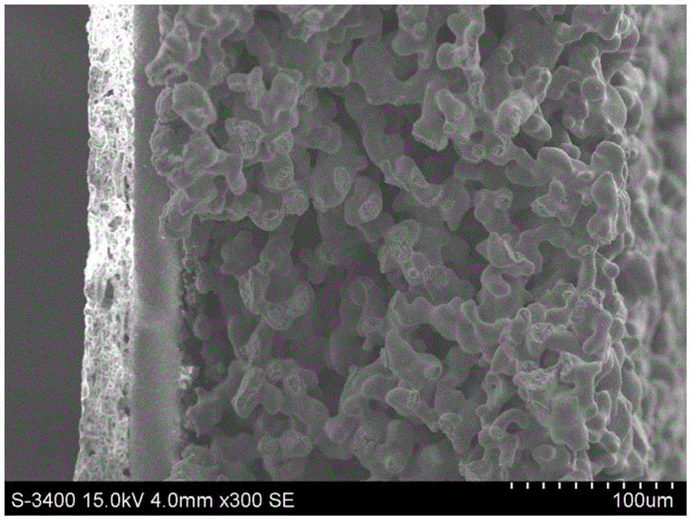 Method for preparing flat-plate type metal-support solid oxide fuel cell