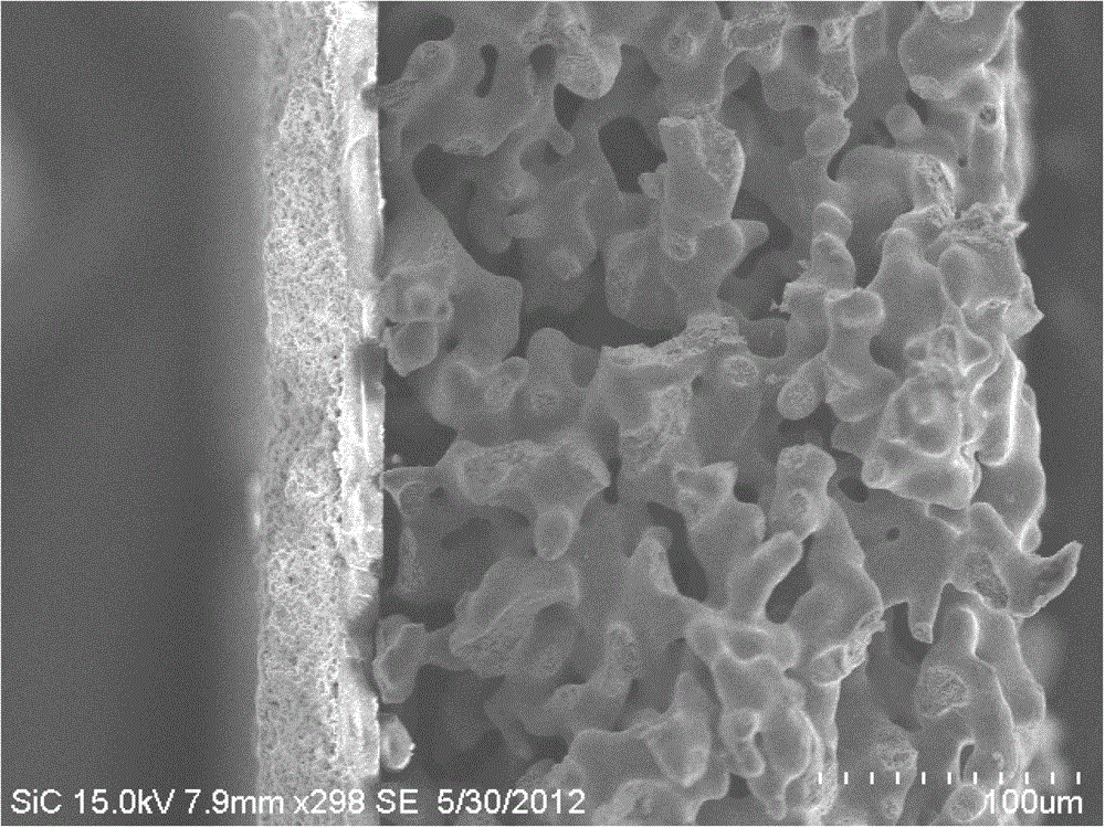 Method for preparing flat-plate type metal-support solid oxide fuel cell