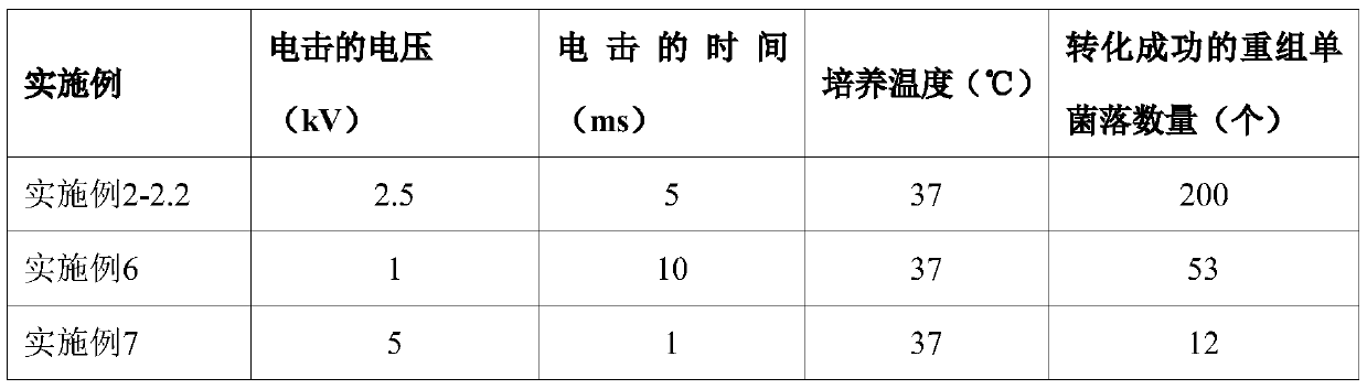 Method for continuously preparing [14/15N]-L-citrulline by immobilized enzyme