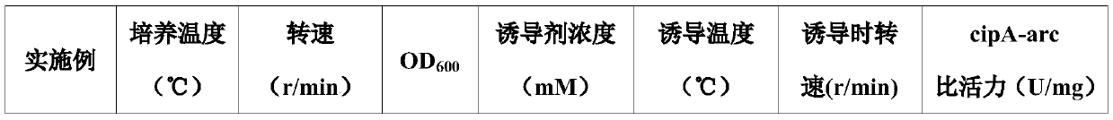 Method for continuously preparing [14/15N]-L-citrulline by immobilized enzyme