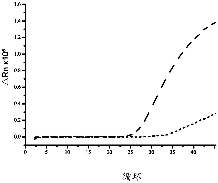 Kit for detecting methylation of promoter region of fragile X mental retardation 1 (FMR1) gene through fluorescent quantitative method and application thereof