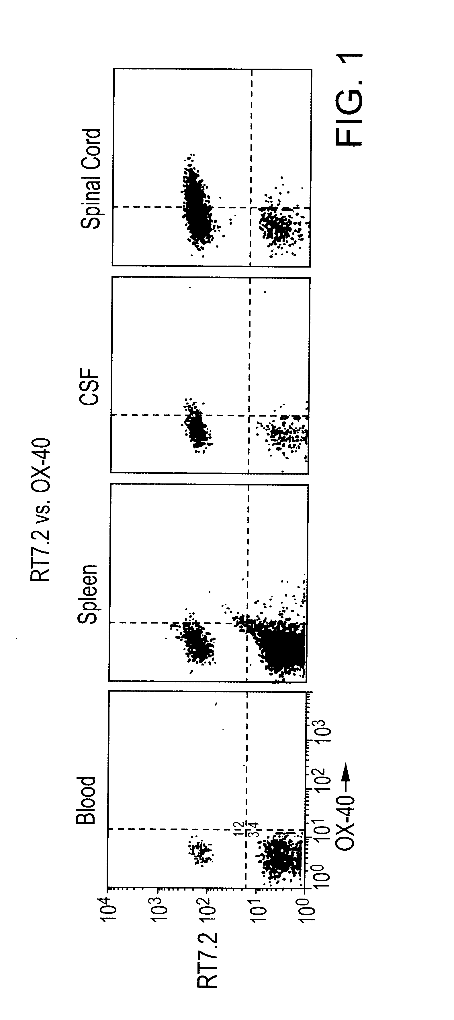 T-cell antigens, and their use in diagnosis and treatment of T-cell mediated conditions