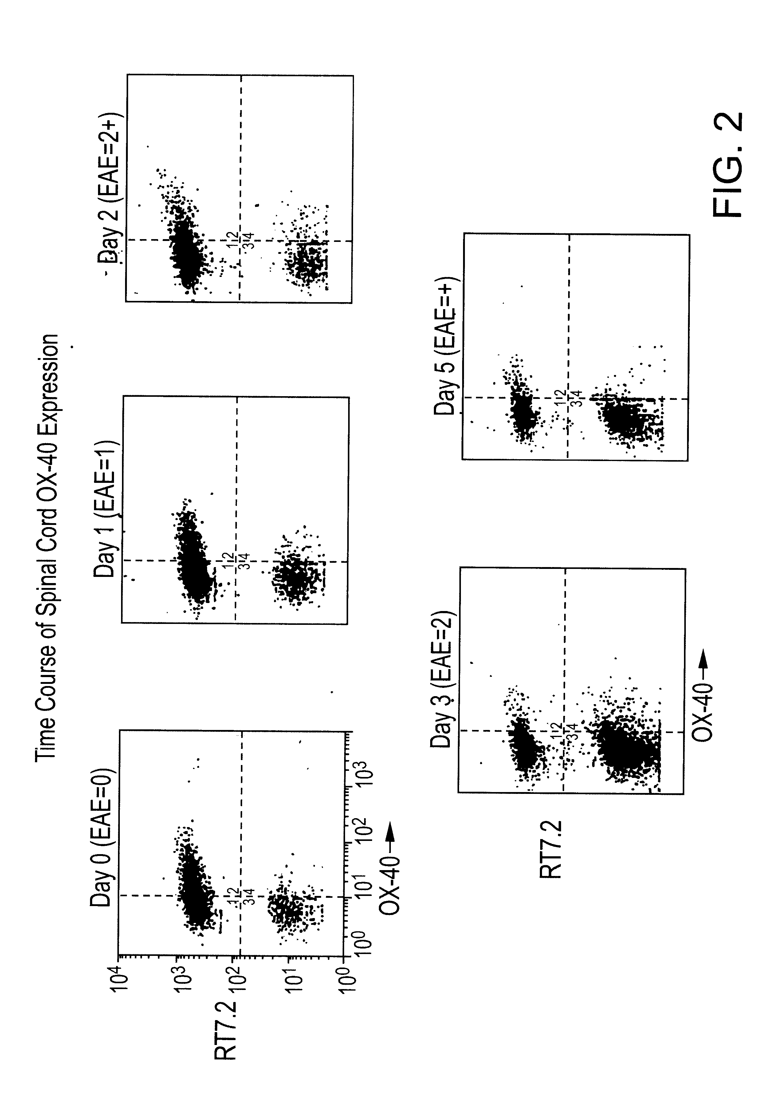 T-cell antigens, and their use in diagnosis and treatment of T-cell mediated conditions