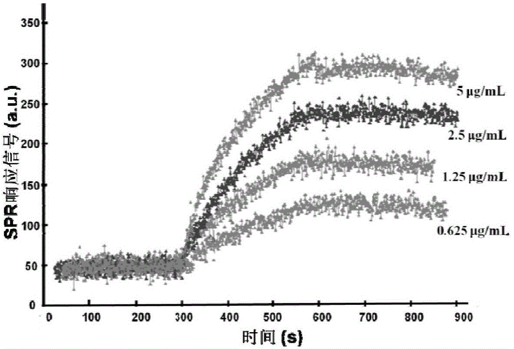 Polypeptide binding with tumor necrosis factor, and applications thereof