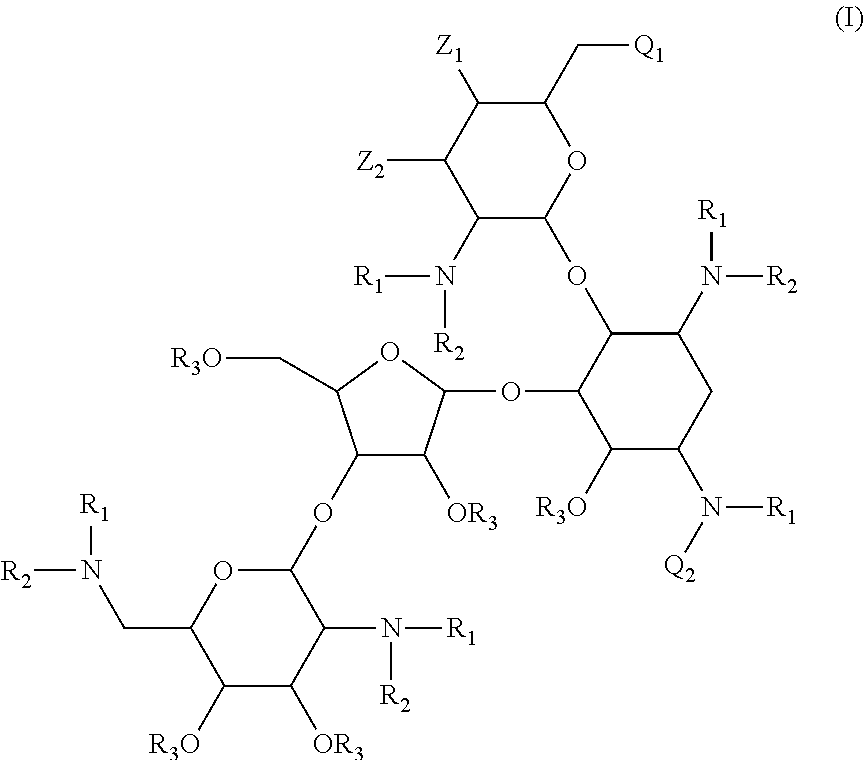 Antibacterial aminoglycoside analogs