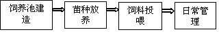 Method for cultivating metapenaeus ensis