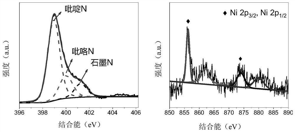 Single-atom metal photocatalyst and its preparation method and application in carbon-oxygen cross-coupling reaction