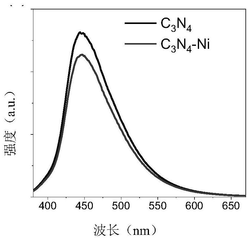 Single-atom metal photocatalyst and its preparation method and application in carbon-oxygen cross-coupling reaction