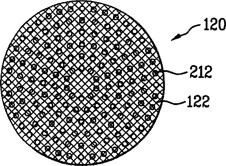 Apparatus for processing organic substance