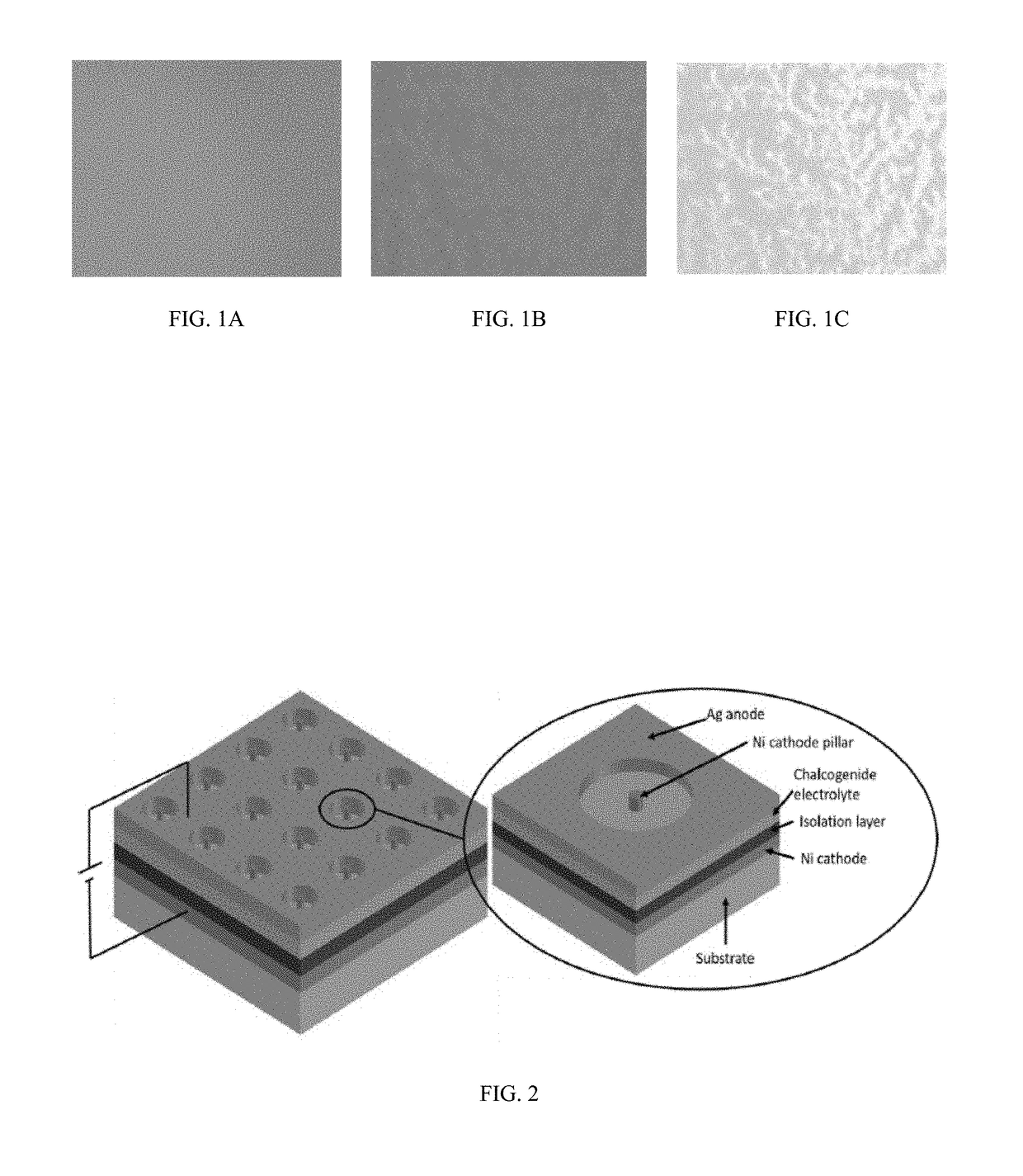 Fluorescent dendritic tags