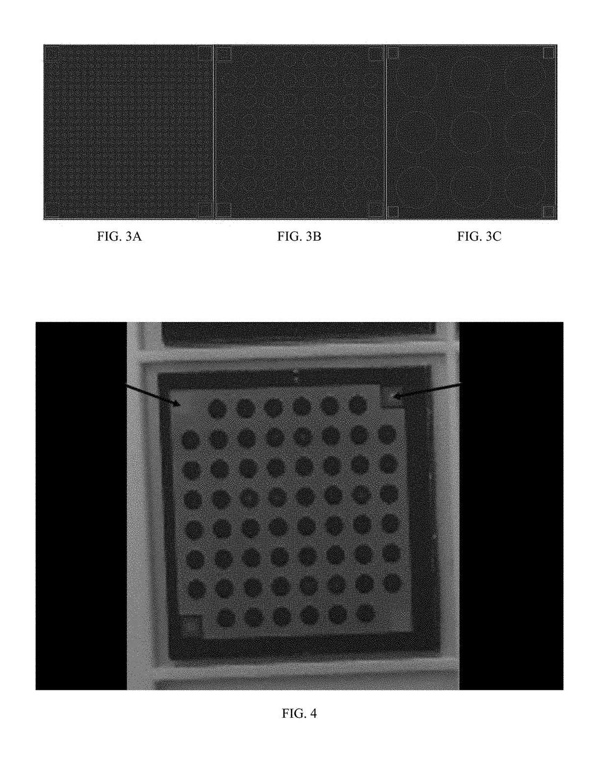 Fluorescent dendritic tags