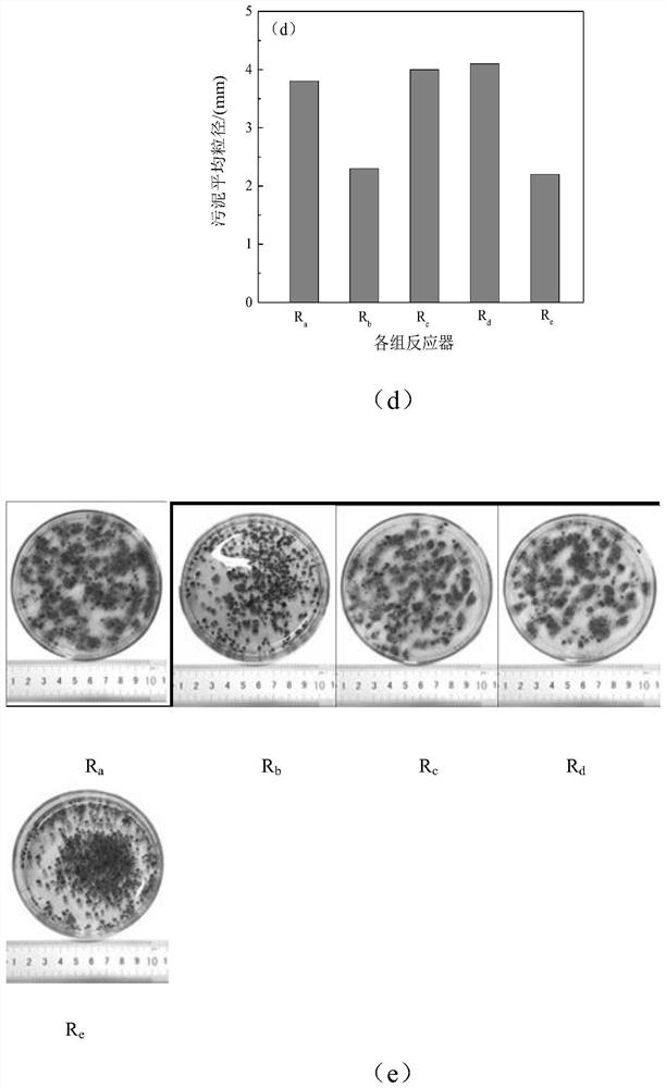 A method for controlling the flotation of anaerobic ammonium oxidation granular sludge in a high-load reactor