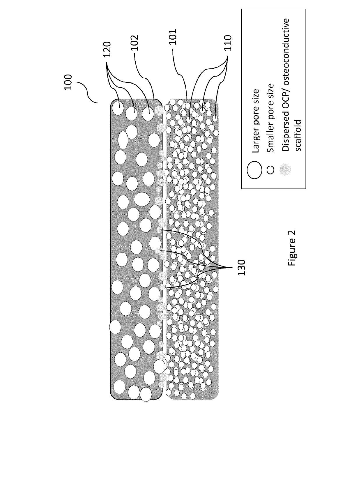 Vascularity affinity precursor structure for musculo-skeletal tissue healing