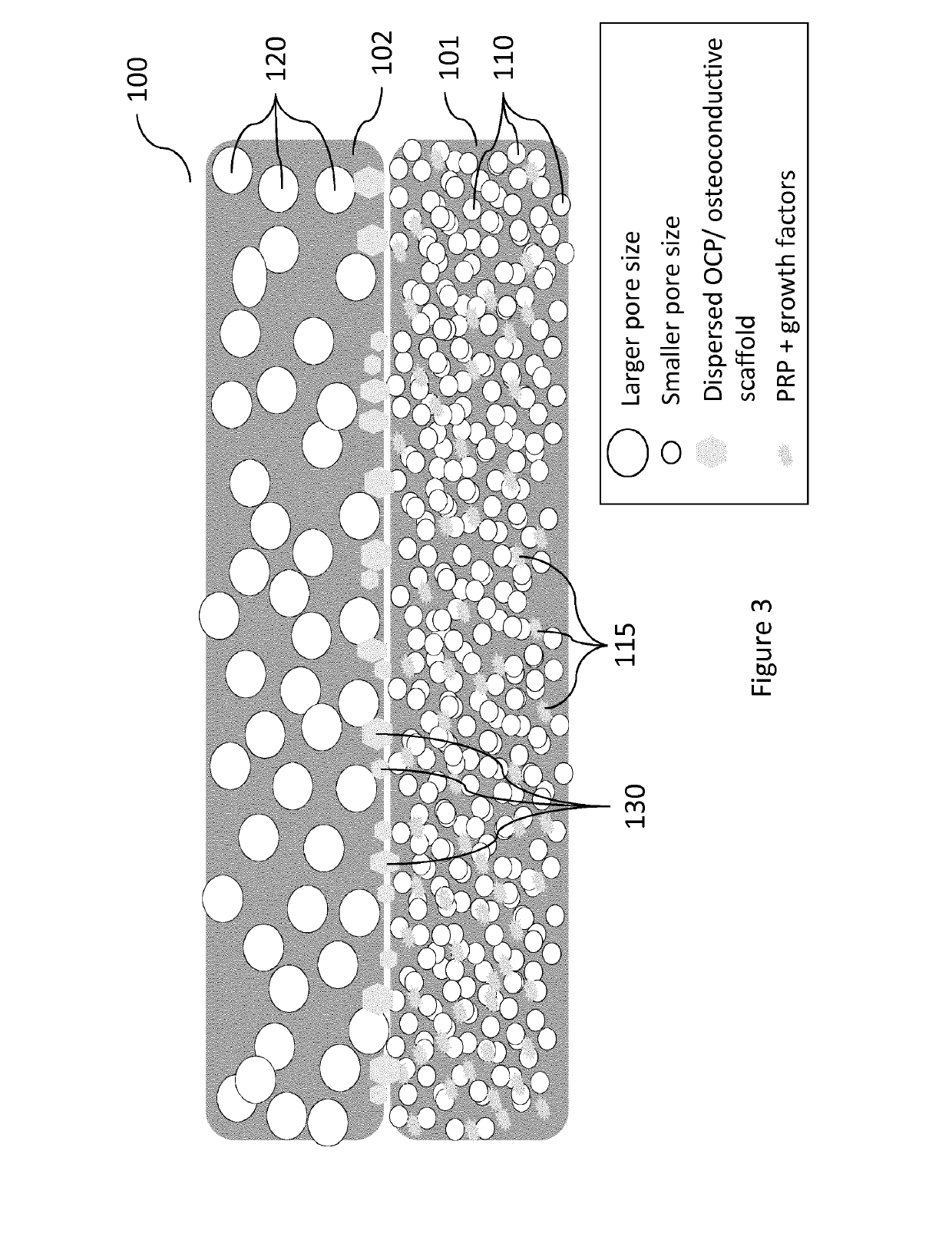 Vascularity affinity precursor structure for musculo-skeletal tissue healing