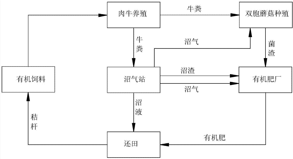 Waste comprehensive utilization process of large-scale beef cattle farms