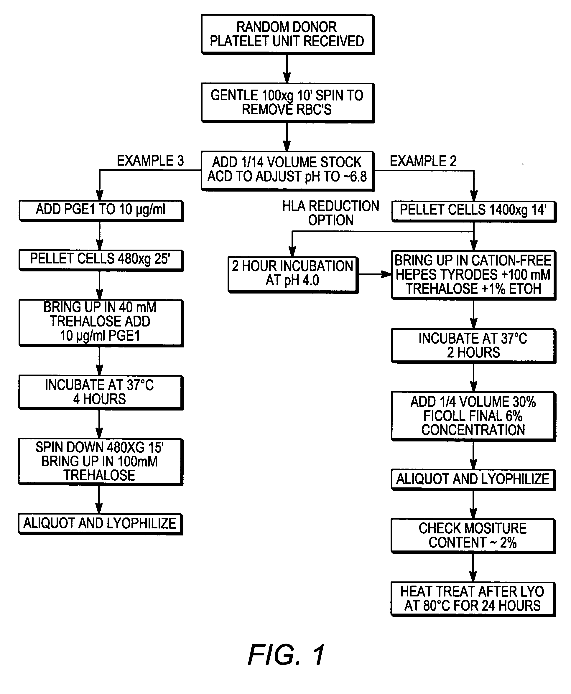 Processes for preparing lyophilized platelets